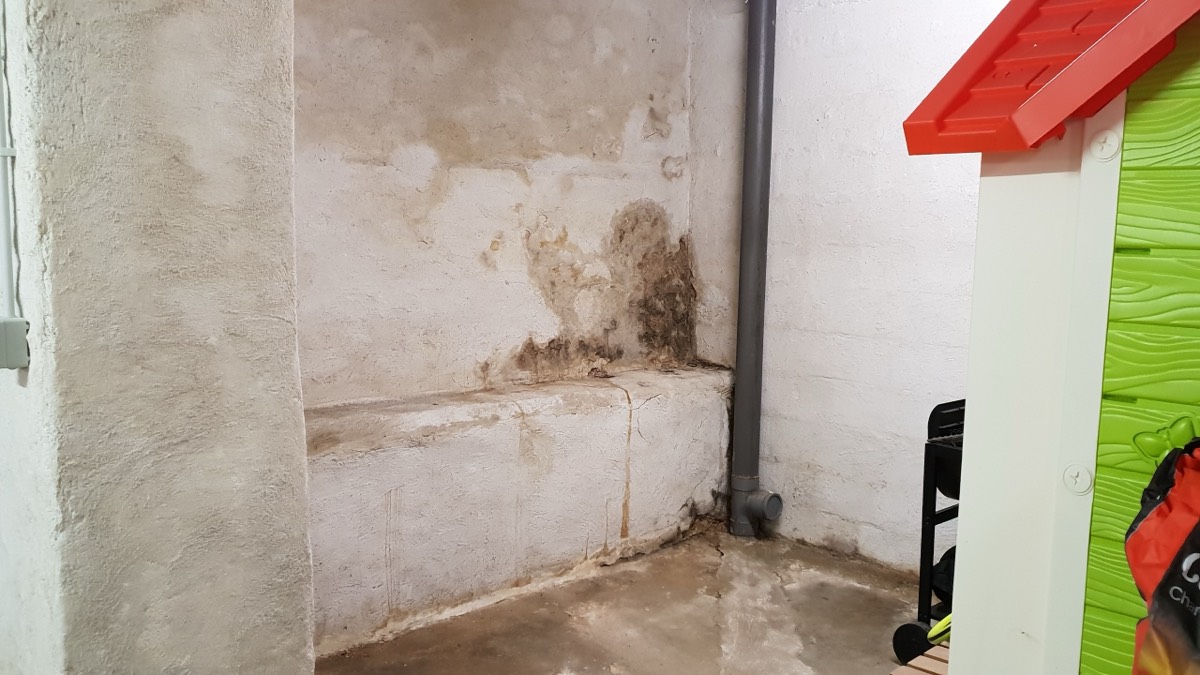 Infiltrations d'eau - Expertise humidité à Chambéry